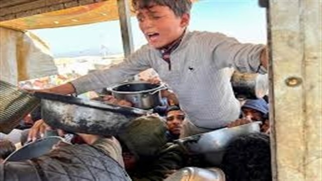 গাজায় খাবারের জন্য হাহাকার, সতর্কবার্তা ডব্লিউএফপি’র!