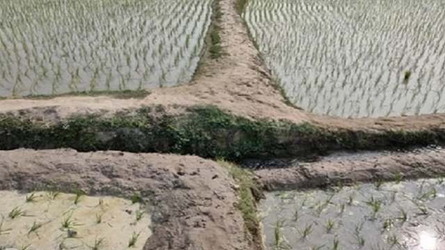 রংপুরের পীরগাছা উপজেলার কান্দি ইউনিয়নের তেয়ানী মুসার বাজার এলাকায় জমিজমা নিয়ে বিরোধের জেরে সংঘর্ষে ন...